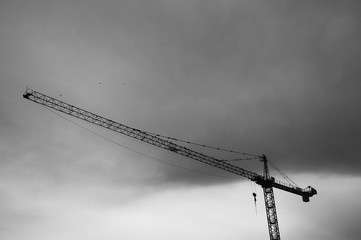 Crane