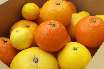 カラフルなかんきつ類 - A variety of colorful citrus fruits in a box
