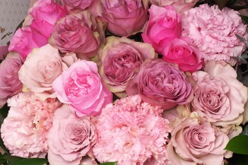 ピンクのバラのフラワーアレンジメント - Pink roses in flower arrangement