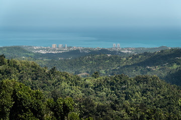 Vista de ciudad desde montaña, bosque.