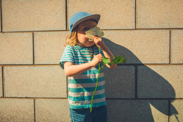 Preschooler smelling a flower outdoors