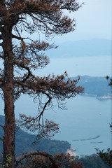 Beautiful Japanese autumn in Miyajima, Miyajimacho