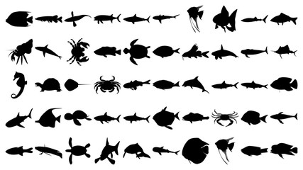 Vector set of 50 various fish and sea animals silhouettes.
