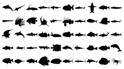 Vector set of 50 various fish and sea animals silhouettes.