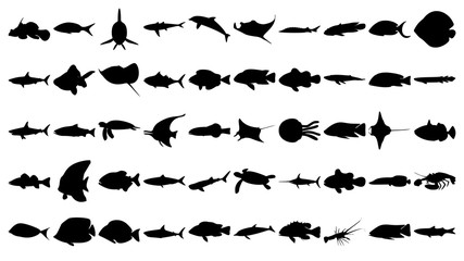 Vector set of 50 various fish and sea animals silhouettes.
