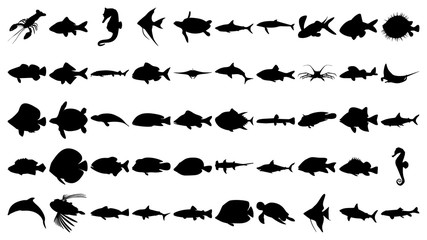 Vector set of 50 various fish and sea animals silhouettes.