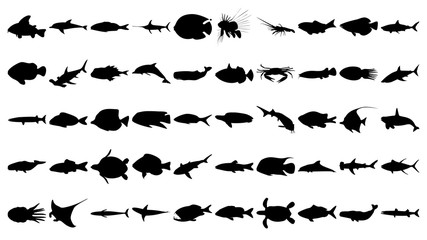 Fototapeta premium Vector set of 50 various fish and sea animals silhouettes.