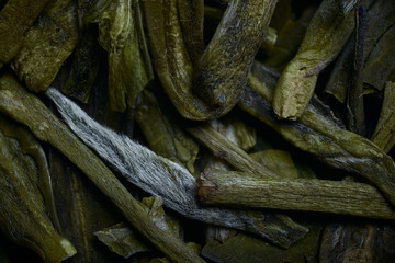 dry green tea leaves macro background
