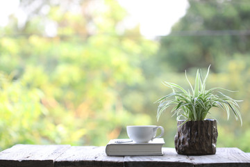 notebook and white coffee cup with  plant in small wooden pot on wooden table at outside