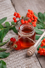 Fresh rose hip berries, rowan and honey on wooden background. Ingredient for winter autumn fall seasonal hot drink, immunity alternative medicine beverage