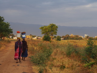Obraz premium Local women walking with a load on her head, Moshi, Tanzania