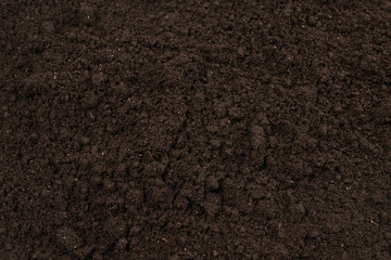 Black land for plant background.