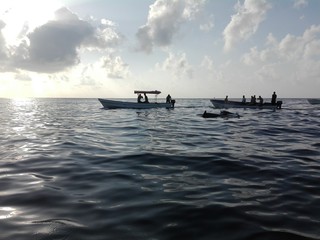 Obraz premium boat on the sea