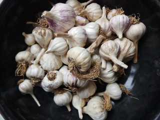 garlic on the table