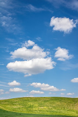 Spring landscape with green meadow under blue sky