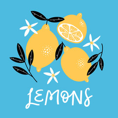 Hand drawn set with lemons, leaves, flowers and handwritten lettering. Vector illustration.