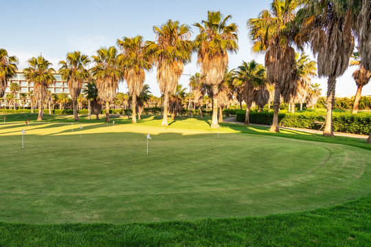 Beautiful Golf Course With Green Grass. Tall Trees. Sunny Day With A Blue, Clear Sky. Portugal, Algarve.