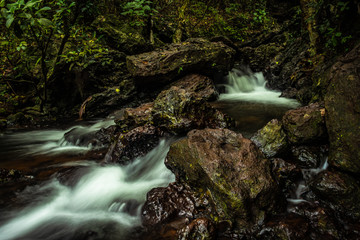 waterfall cover with green lush forest long exposure flat angle image