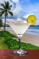 a  margarita cocktail