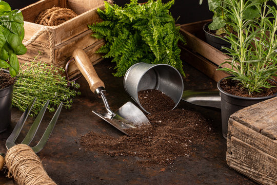 Gardening tools and utensils