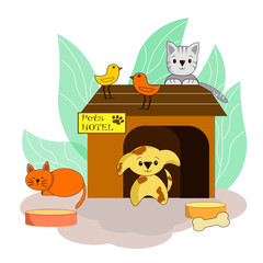 Hotel for pets. Vector illustration. Cartoon style. Dog, cats, birds at the hotel for pets.