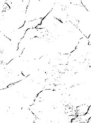 Naklejka premium Diffusion reaction vector pattern. Black and white organic shapes, lines pattern. Abstract Background illustration