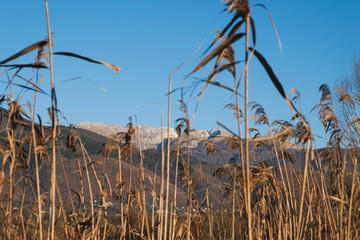Field near Ripasottile lake during summer, Rieti, Italy