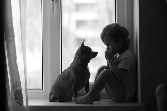 
girl, dog, window, friendship, love, photo, portrait