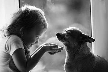 
girl, dog, window, friendship, love, photo, portrait