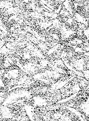 Diffusion reaction vector pattern. Black and white organic shapes, lines pattern. Abstract Background illustration