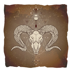 Vector illustration with hand drawn ram skull, spider and Sacred geometric symbol on vintage paper background with torn edges. Abstract mystic sign. Image in sepia color. 