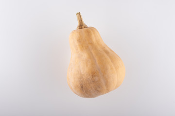 Whole butternut squash pumpkin in a bottle-shaped isolated on a white background with clipping path.