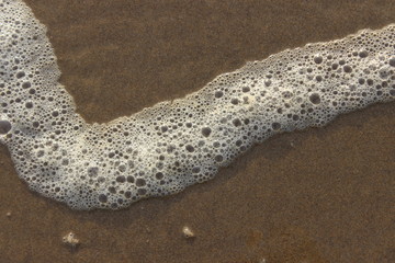 White sea foam. USA.