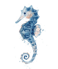Watercolor seahorse hand drawn  illustration isolated on white background. © EvgeniiasArt