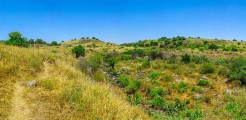 Fototapeta na wymiar Panorama of Zavitan Stream, in Yehudiya Forest Nature Reserve