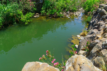 Zavitan hexagonal pillars pool, in Yehudiya Forest Nature Reserve