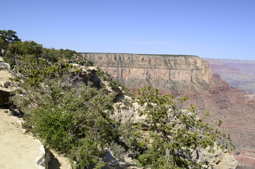 grand canyon arizona usa