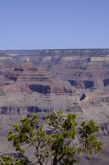 grand canyon arizona