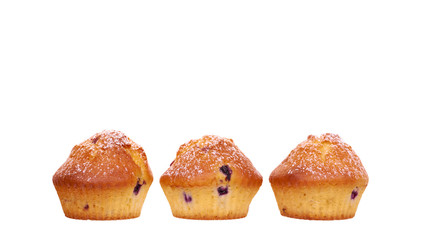 Homemade blueberry cupcake.