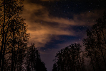 Obraz na płótnie Canvas Night sky, stars, clouds and trees.
