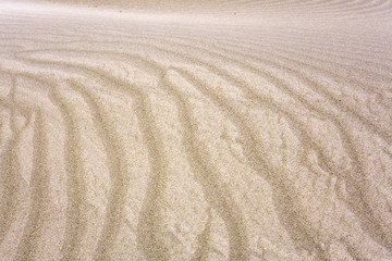 White desert, sandy ripples and waves on dunes. Background or texture.