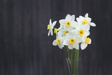 A bouquet of narcissus on a dark, old, wooden background. Spring time