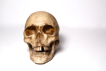 Human skull on a white background, isolate.