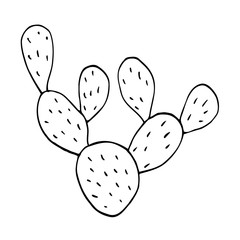 Cactus. Black lines on a white background. Vector.