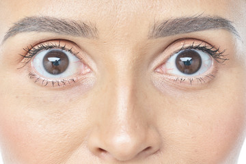 Obraz premium Eye Health And Care. Portrait Of Girl Face With Smooth Healthy Skin And Perfect Natural Makeup. Closeup Of Beautiful Woman With Big Brown Eyes And Eyebrows On White Background. High Resolution Image