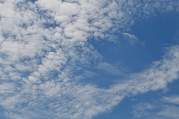 雲