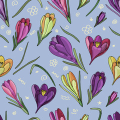 botanical illustration, violet, yellow and pink crocuses flowers on a blue background