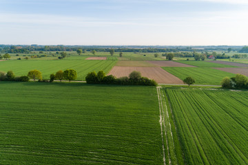 Hügelige Landschaft mit Feldern als Luftaufnahme