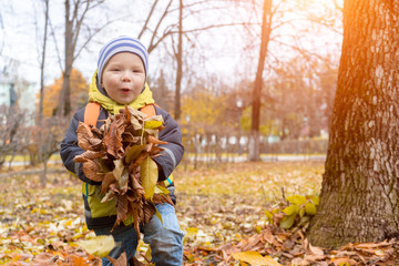 Cute, smiling little boy plays with dry, yellow, autumn leaves in city Park , holding them in his hands before throwing them up. Happy childhood