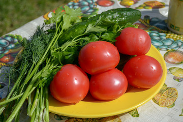tomatoes, cucumbers and greens on a yellow plate